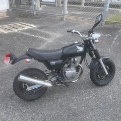 エイプ50の画像