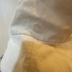 Hiromichi Nakano 帽子
の画像