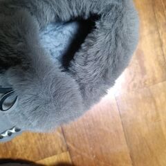 モコモコ靴　一度使用の画像