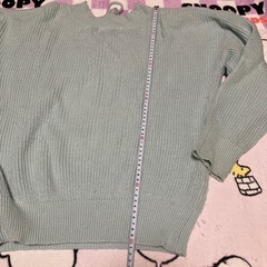 BB) LOWRYS FARM ミントグリーンニットの画像