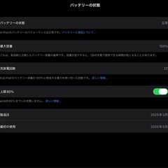 【超美品】iPad mini第7世代(A17 Pro)128GB Wi-Fiモデルの画像