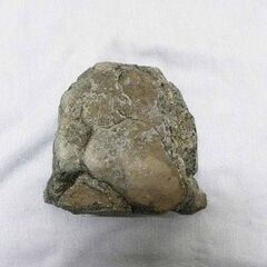  ロックシェルター１の画像