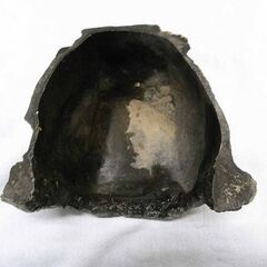  ロックシェルター１の画像