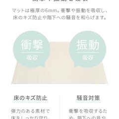 【取引者決定】トランポリン(トランポリンマット付き)の画像