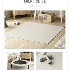 【取引者決定】トランポリン(トランポリンマット付き)の画像