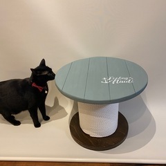 猫　爪とぎテーブルの画像