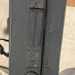 ケルントナーベルカットホルンケースの画像