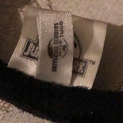 USJ ジュラシックパークヘヤバンドの画像