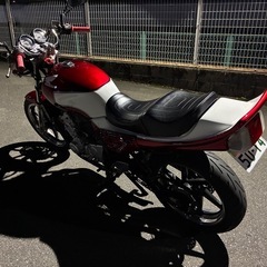 ジェイド　絶好調の画像