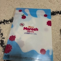 ふぁいるファイルの画像