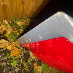 取引中！【新品未使用！】ママさんダンプ 除雪幅58cm スノーダンプの画像