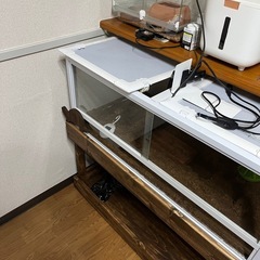 爬虫類ゲージ　の画像