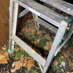 ハシゴ兼用脚立 2尺  アルインコ の画像