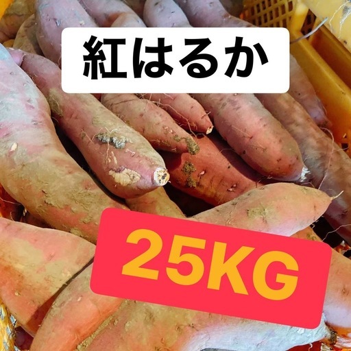 紅はるか 25kg