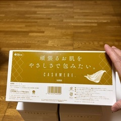 スコッティ　カシミヤティッシュの画像