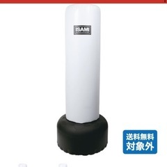 イサミ　パンチ&キックスタンド　ミット
　　　の画像