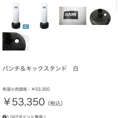 イサミ　パンチ&キックスタンド　ミット
　　　の画像