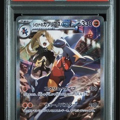 ヒビキのホウオウex、シロナのガブリアスex連番(熱風のアリーナ)の画像