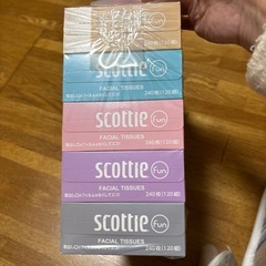 スコッティ　ティッシュペーパーの画像