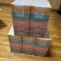 スコッティ　ティッシュペーパーの画像