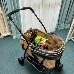 犬用ワンワンカートの画像