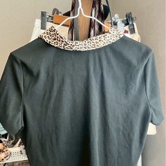 カットソーの画像