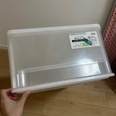 ニトリ押し入れケースMの画像