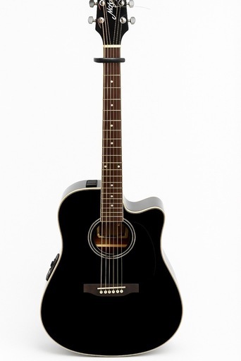 海外現地購入エレアコ