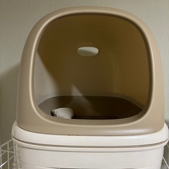 猫 飼い始めせっとの画像