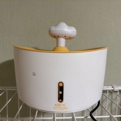 猫 飼い始めせっとの画像