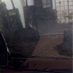 スネークヘッドの画像