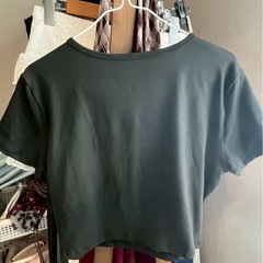 Ｔシャツの画像