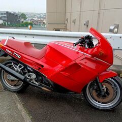 ドカティ　パソ　昭和62年5月　ディーラーもの　13666ｋｍ　４年前に車検切れ実動の画像