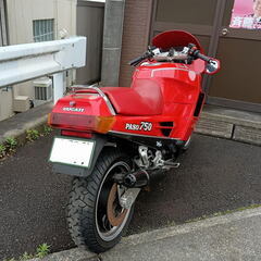 ドカティ　パソ　昭和62年5月　ディーラーもの　13666ｋｍ　４年前に車検切れ実動の画像