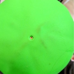 シーソー 屋内 屋外 遊具 【LifeRed】キッズ 360度回転 バランスの画像