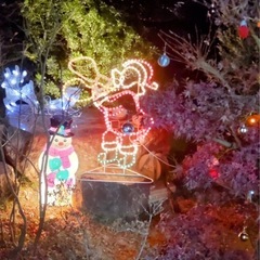 クリスマス　イルミネーション　3点セットの画像