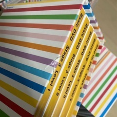 ワールドワイドキッズ DVD 30枚セットの画像