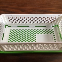 au LISMO リスモ　折りたたみ式　サンドイッチケース　弁当箱　リス　りすの画像