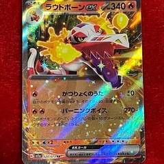 ポケモンカード　ラウドボーンex RR ２枚の画像