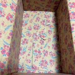 可愛いダンボール　段ボール　箱の画像