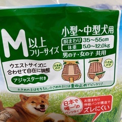 犬用オムツMサイズ①の画像