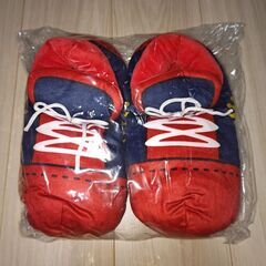 琉球ゴールデンキングス　ファンクラブ特権セットの画像