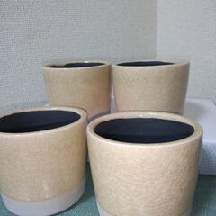 未使用４個　DULTON　貫入アイボリー　植木鉢４個セット（サボテン等観葉植物）の画像