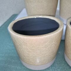 未使用４個　DULTON　貫入アイボリー　植木鉢４個セット（サボテン等観葉植物）の画像