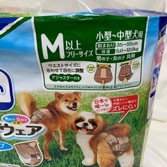 犬用オムツMサイズ⓶の画像