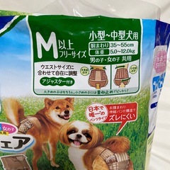 犬用オムツM④の画像