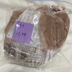 犬用オムツ⑤の画像