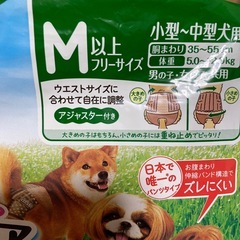 犬用オムツ③の画像