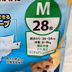 DCM犬用おむつの画像