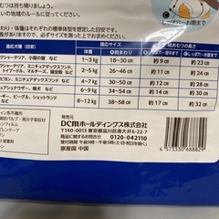 DCM犬用おむつの画像